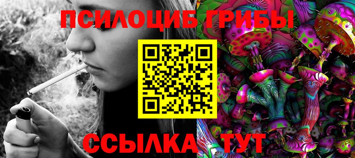 Псилоцибиновые грибы Psilocybe  Вход с VPN  Галлюциногенные грибы MAGIC MUSHROOMS  Курчалой 
