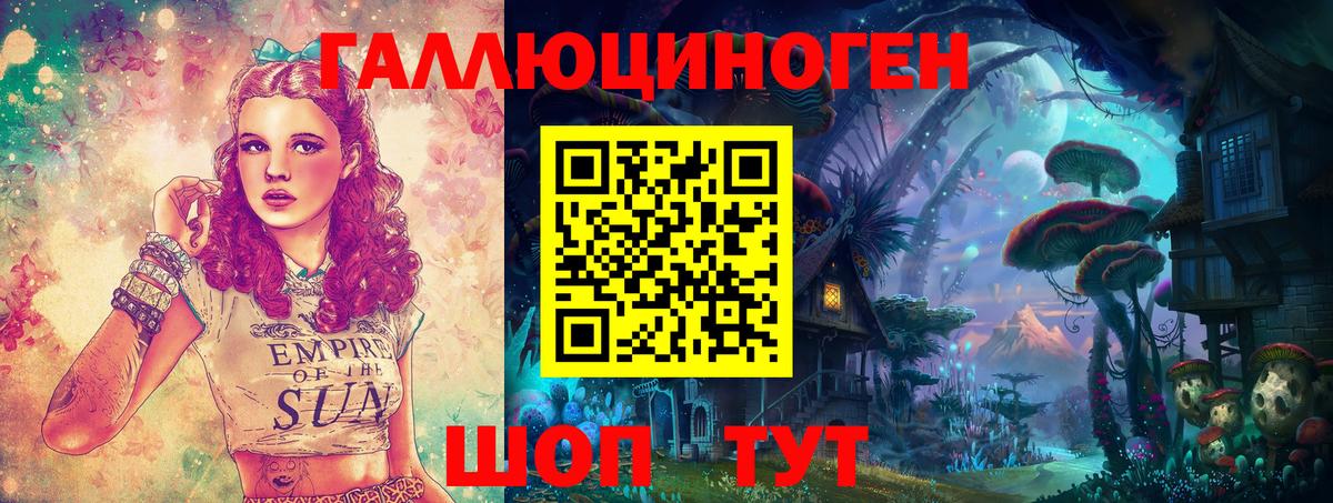 Псилоцибиновые грибы прущие грибы Курчалой